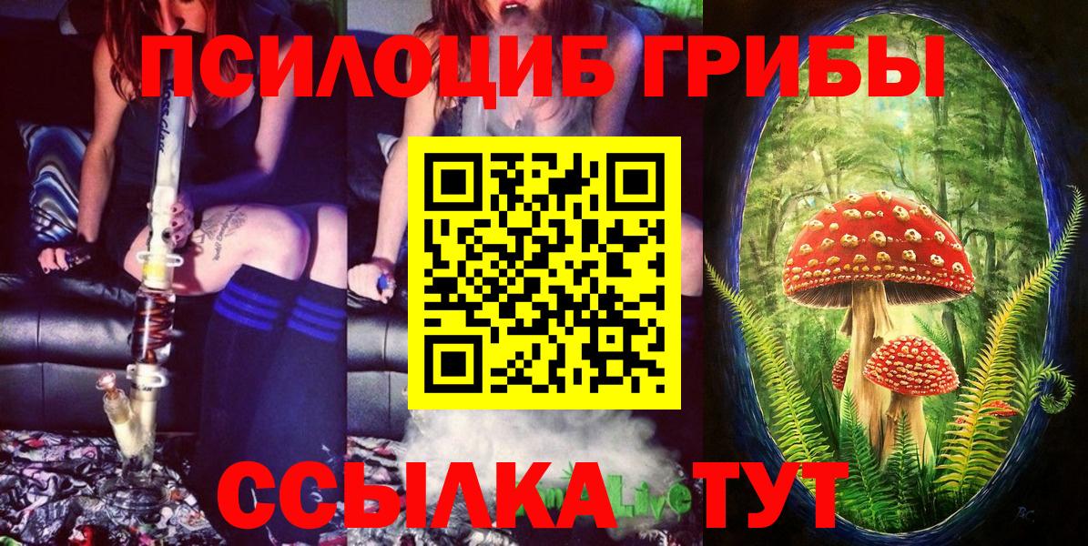 Псилоцибиновые грибы GOLDEN TEACHER  Вход с VPN  Тавда 