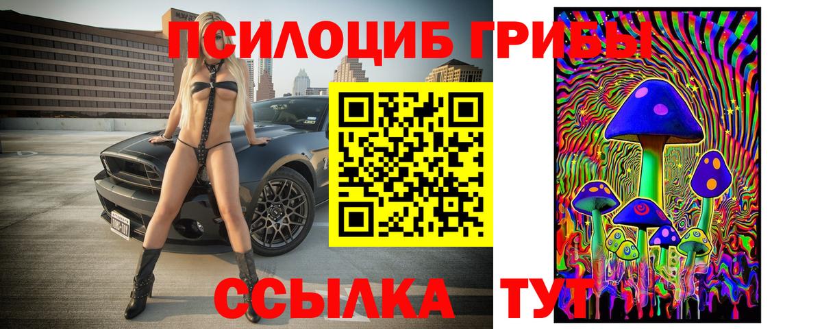 Галлюциногенные грибы ЛСД Тавда